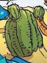Brightsting Cactus