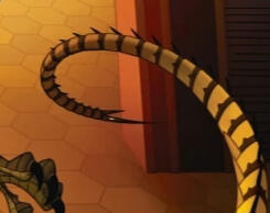 Wasp's Tail